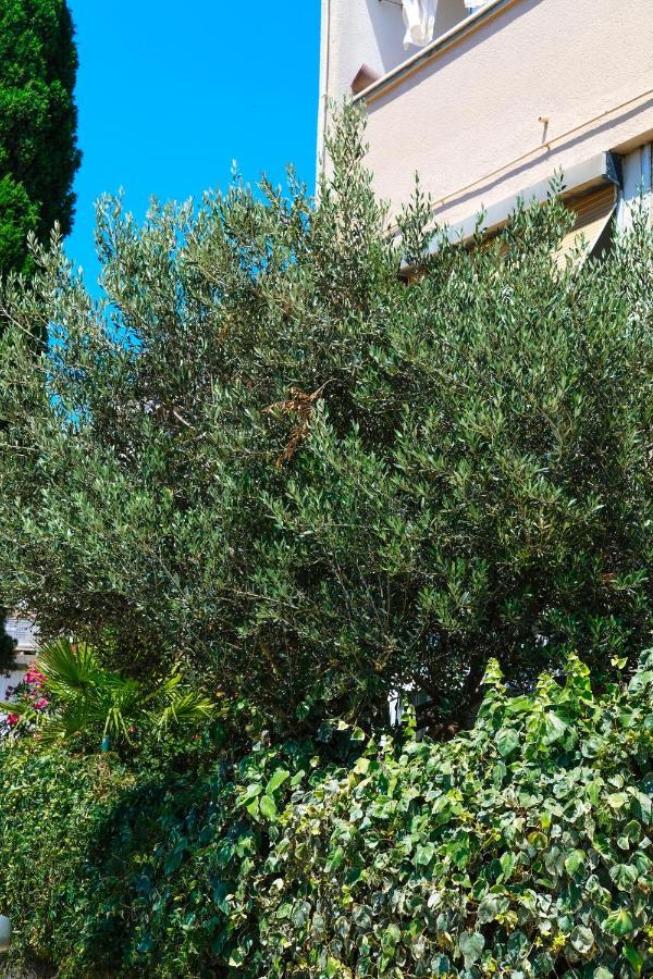 ספליט Olive Shade - Apartment Near The Beach מראה חיצוני תמונה