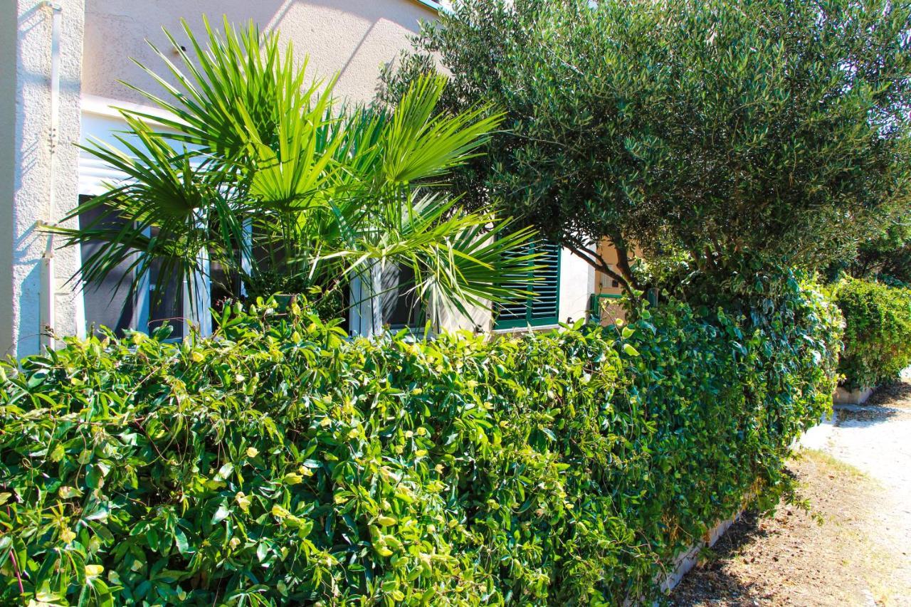 ספליט Olive Shade - Apartment Near The Beach מראה חיצוני תמונה